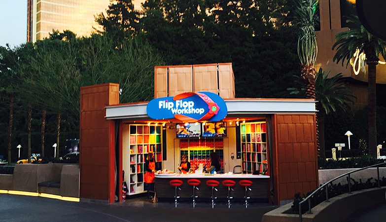 FLIP-FLOP Workshop